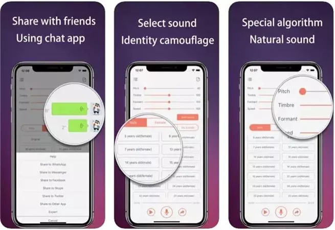 Anonymous Voice Changer